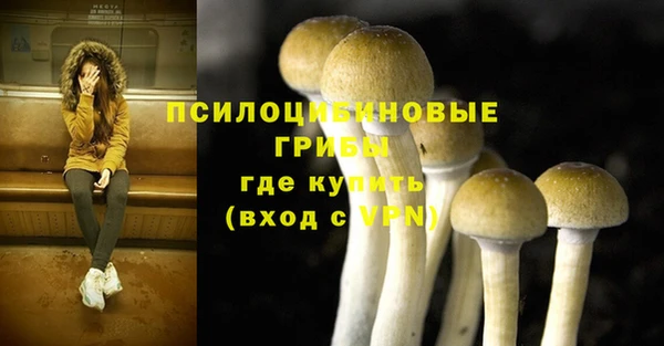 альфа пвп Беломорск