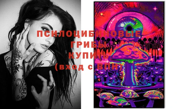 эйфоретик Белокуриха