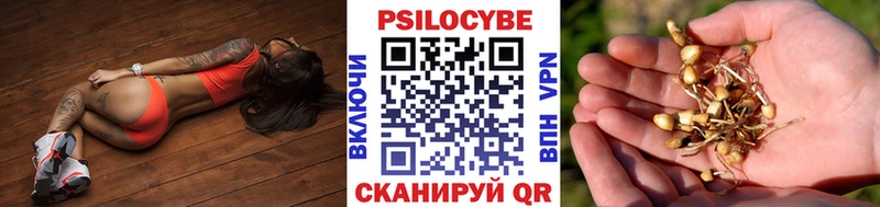 как найти   Волгореченск  OMG рабочий сайт  Галлюциногенные грибы GOLDEN TEACHER 
